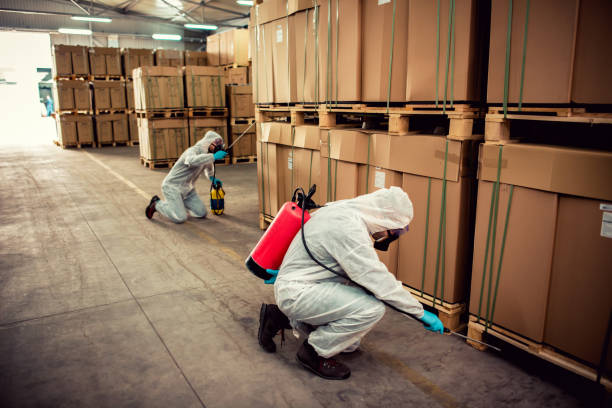 Best Emergency Pest Control  in Hamilton, GA