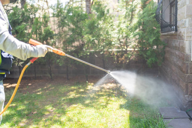 Best Best Pest Control Companies  in Hamilton, GA