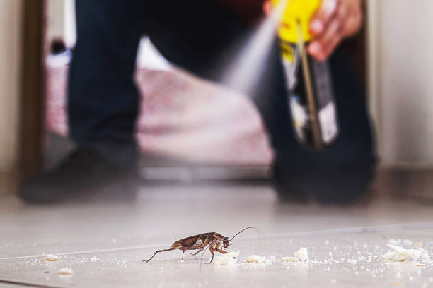 Reliable Hamilton, GA Pest Control Solutions