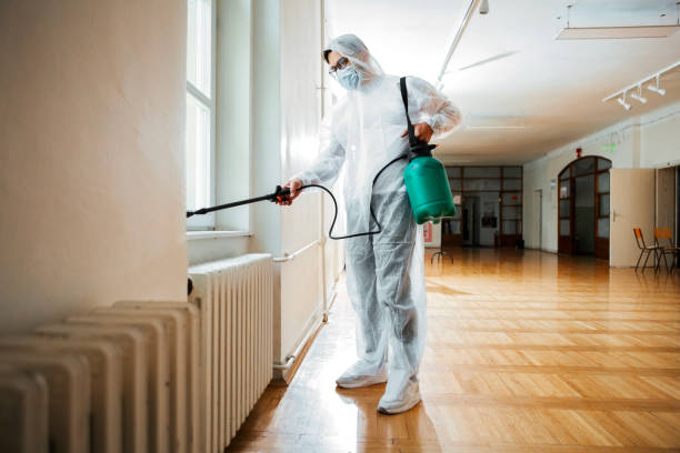Professional Pest Control in Hamilton, GA