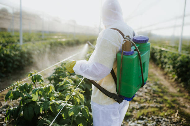 Best Ant Control Services  in Hamilton, GA